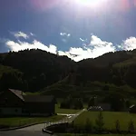 Hotel Alpina 2*